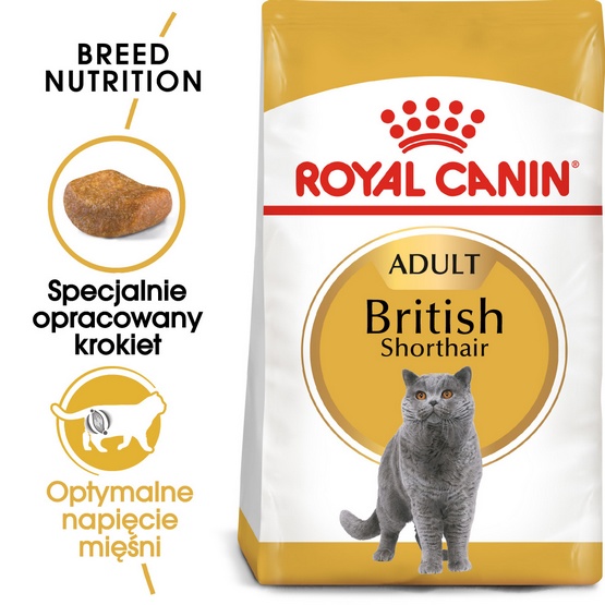 Royal Canin British Shorthair Adult karma sucha dla kotów dorosłych rasy brytyjski krótkowłosy 400g